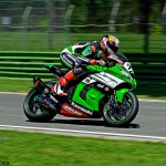 _AND2622 Baz Loris