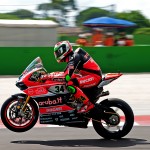 _AND2311 D.giugliano