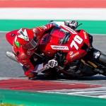 bea_9205-luca-vitali