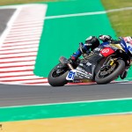 bea_3107-m-gonzalez-wss600