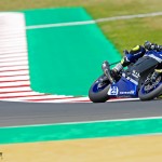 bea_3121-l-bernardi-wss600