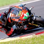 bon_6174-m-pirro-1