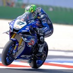 bon_7187-jpg-r-gardner-n-87